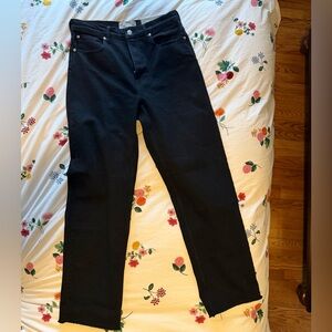 Everlane The Way High Jean 28 Long Raw Hem NWT